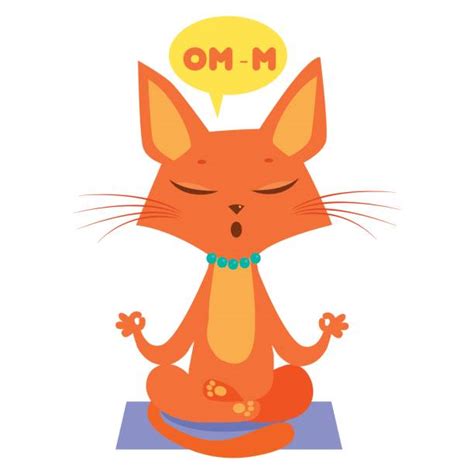 Best Cat Exercise Illustrations Royalty Free Vector