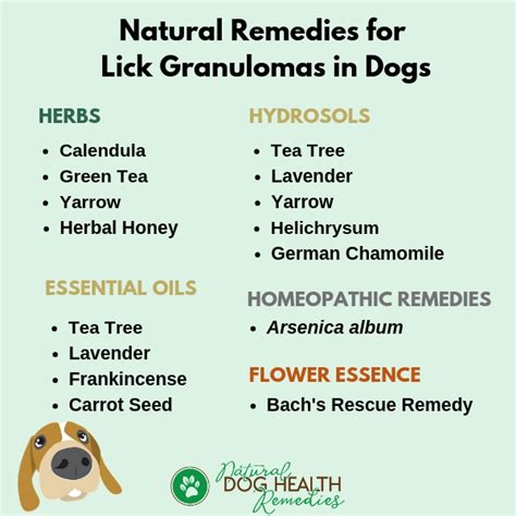 Lick Granulomas In Dogs Causes Treatment And Natural Remedies