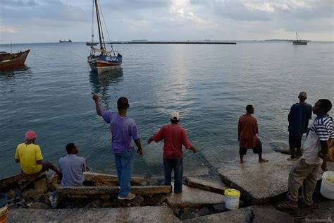 Image Of Zanzibar Harbour And Fishermen 1001688