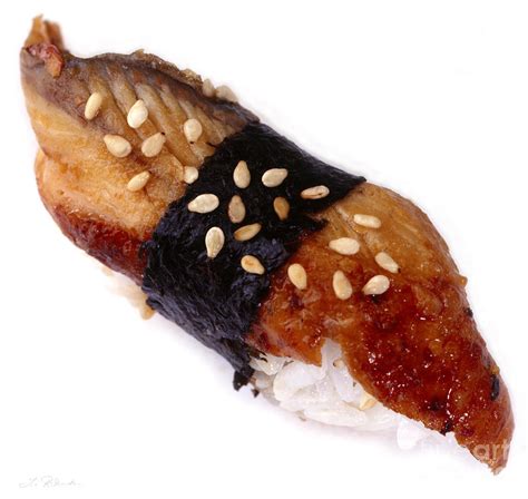 Sushi Unagi Fresh Water Eel Photograph By Iris Richardson Pixels