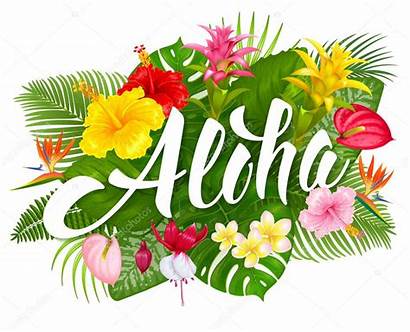 Tropical Aloha Hawaii Lettering Plants Hawaiian Flowers