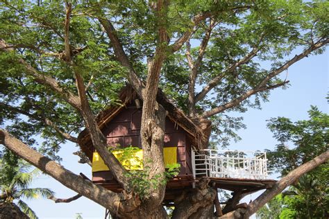 Querce e vecchi mestieri … spinto dalla voglia di valorizzare le tradizioni e la storia di rogliano…. Case sull'albero Piemonte: dove trovarle | TheGiornale