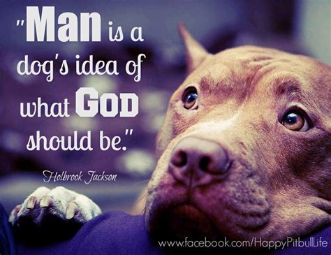 Best Pitbull Quotes Cute Dog Quotes Dog Quotes Funny Pitbull Dog Quotes