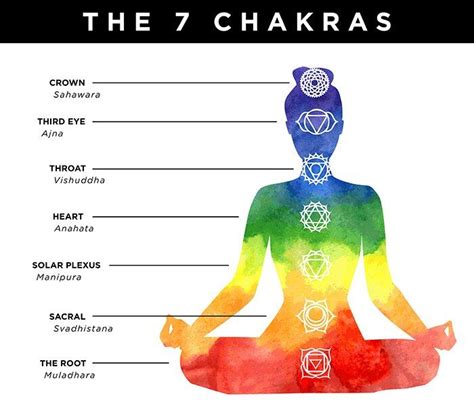 7 Chakras In A Human Body Healing Meditation Chakras Chakras In