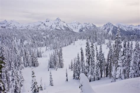 Snow Range As Seen From Paradise Mt Rainier Skyline Tra Flickr