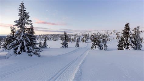Lillehammer Winter Landscape Backiee