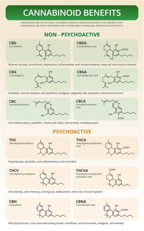 What Are Cannabinoids