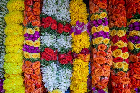 Garlands for your cherishing moments! Indian Bridal Flower Garland in Singapore - Battered ...