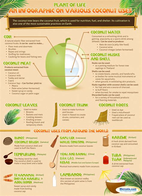 Plant Of Life Coconut Uses Infographic Pilates And Yoga Fitness