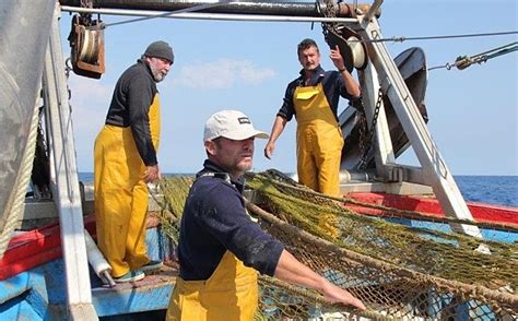 Una Herramienta Para Transformar Redes De Pesca En Fibras