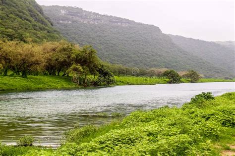 River Between Lush Green Landscape Trees And Foggy Mountains In Ayn