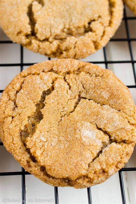 Chewy Gingersnap Cookies Recipe Yummy Cookies Ginger Snap Cookies