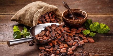 Cocoa Concept Origin History And Properties Daily Concepts