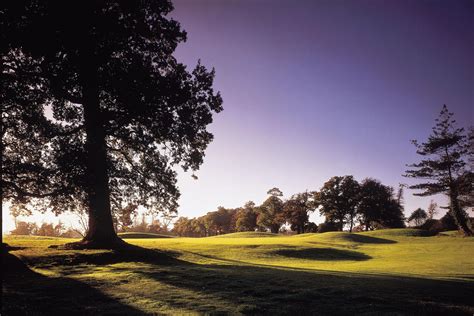 Golf at Goodwood - Park Course | Golf Course in CHICHESTER | Golf Course Reviews & Ratings 