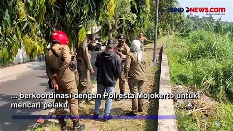 Viral Video Dua Sejoli Mesum Di Angkringan Kota Mojokerto Video