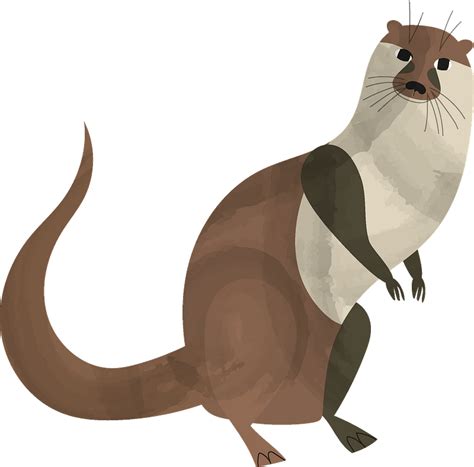 Otter Clipart Vector Graphics Png Download Full Size Clipart