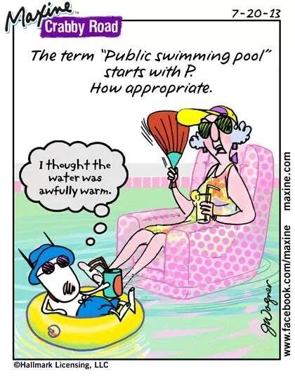 Maxine On Public Swimming Pools Maxine Funny Cartoon Jokes