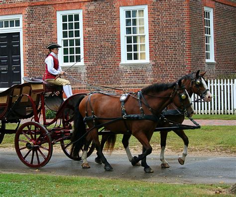 Download Free Photo Of Horsescarriagehorse Drawnwilliamsburg18th
