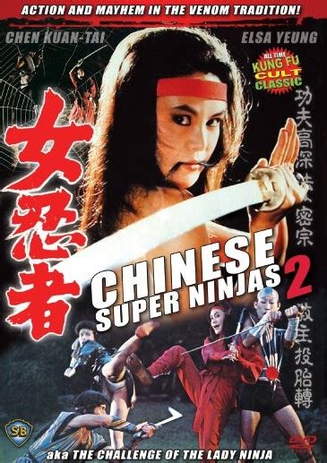 Chinese Super Ninjas 2