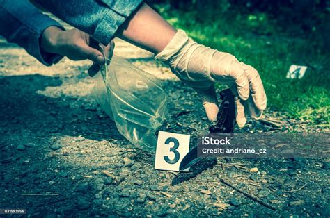 Investigator Collects Evidence Crime Scene Investigation Stock Photo