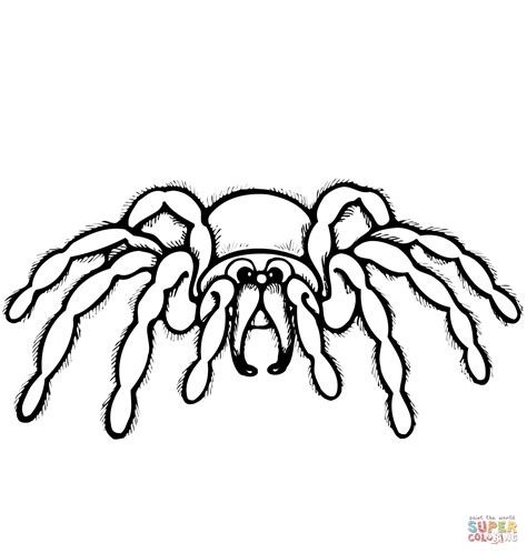* 21 pdf files, a4 format, high resolution for print. Cartoon Spider coloring page | Free Printable Coloring Pages