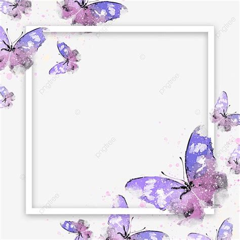 Square Border Watercolor White Transparent Watercolor Purple Butterfly