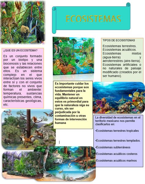 Que Es Un Ecosistema Infografia Tipos De Ecosistemas Ecosistemas Images