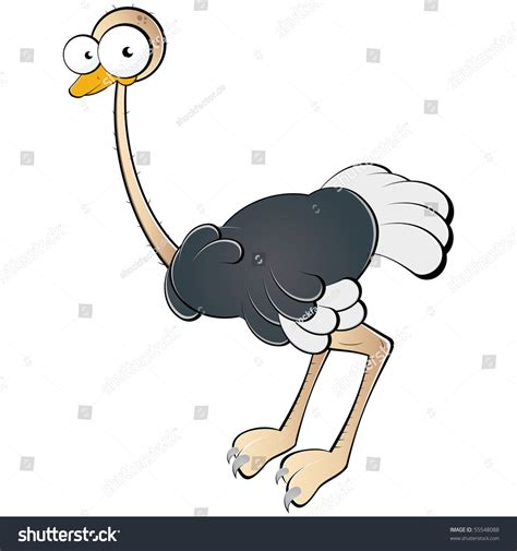 Funny Ostrich Cartoon Stock Vector Illustration 55548088 Shutterstock