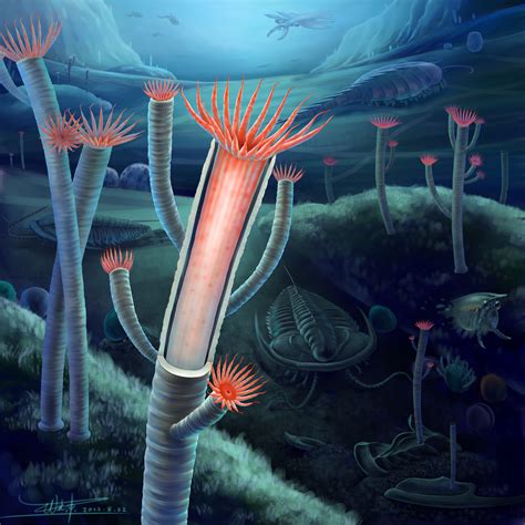 500 million year-old fossils reveal answer to evolutionary riddle