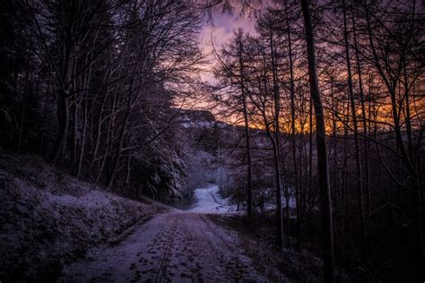 Snowy Guisborough Woods At Sunset