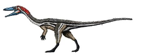 Coelophysis Dinopedia Fandom Powered By Wikia