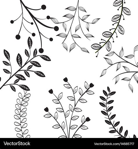 Hand Drawn Leaves Design Royalty Free Vector Image