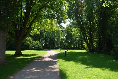 Free Images Landscape Tree Nature Forest Path