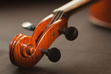 New To The Violin Heres Some Tips For Parents — Meadowlark Violin Studio