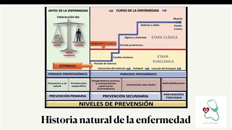 Historia Natural De La Enfermedad Mind Map Kulturaupice