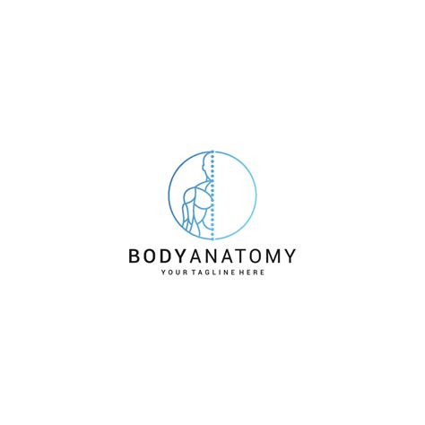 Anatomy Logo Icon Design Royalty Free Vector Image