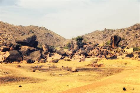 Landscape In Remote Area Of Wa Ghana Stock Photo Image Of Scenery