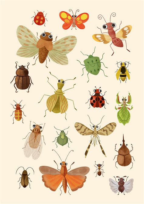 Encyclopédie Des Insectes On Behance