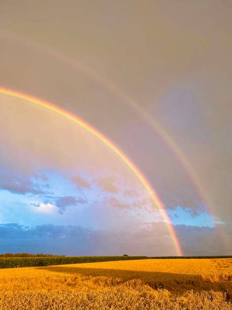 660 Rainbow Over Field Stock Photos Pictures And Royalty Free Images