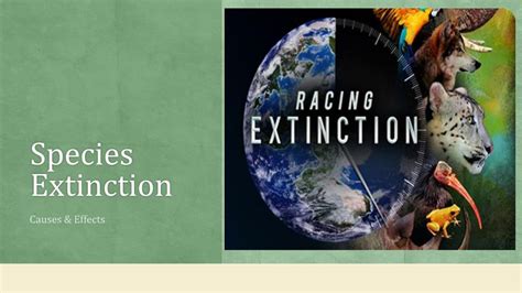 ppt species extinction reasons and effects powerpoint presentation id 7780857