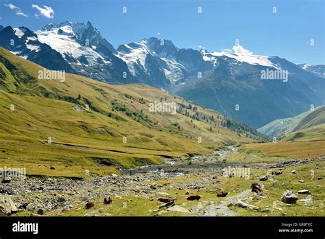 Stunning Meadow High Resolution Stock Photography And Images Alamy