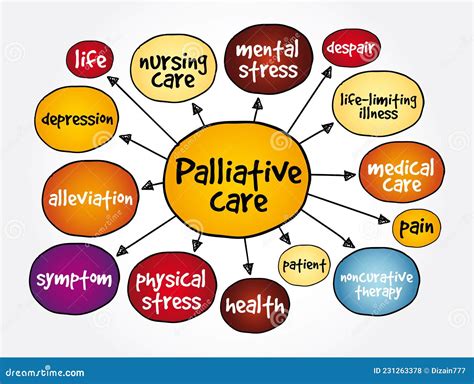 Palliative Care Mind Map Health Concept For Presentations And Reports
