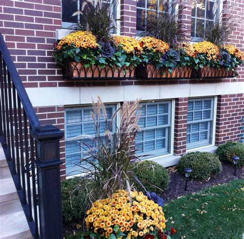 35 Beautiful Fall Window Boxes Ideas You Have To Copy Fall Window