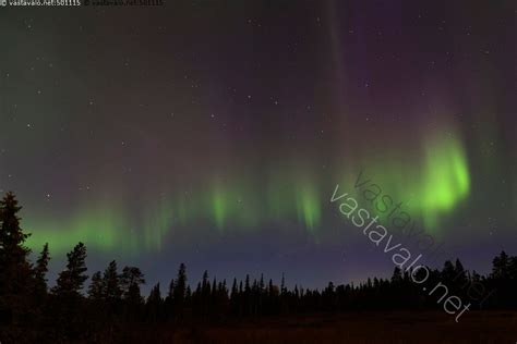 Kuva Revontulet Aurora Borealis Kansallispuisto Lapinmaisema Lappi