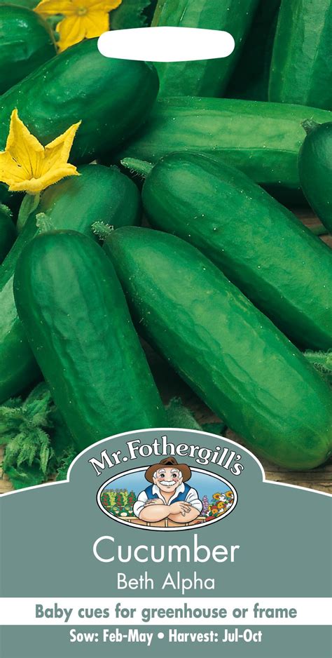 Mr Fothergills Pictorial Packet Vegetable Cucumber Beth Alpha 40 Seeds Ebay
