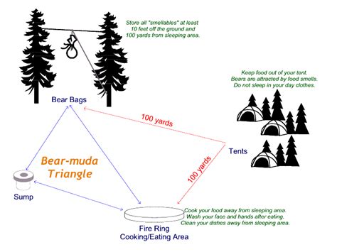 Camping, a time when you can celebrate good weather and enjoy the feeling of getting back to your primal roots. Campsite Layout