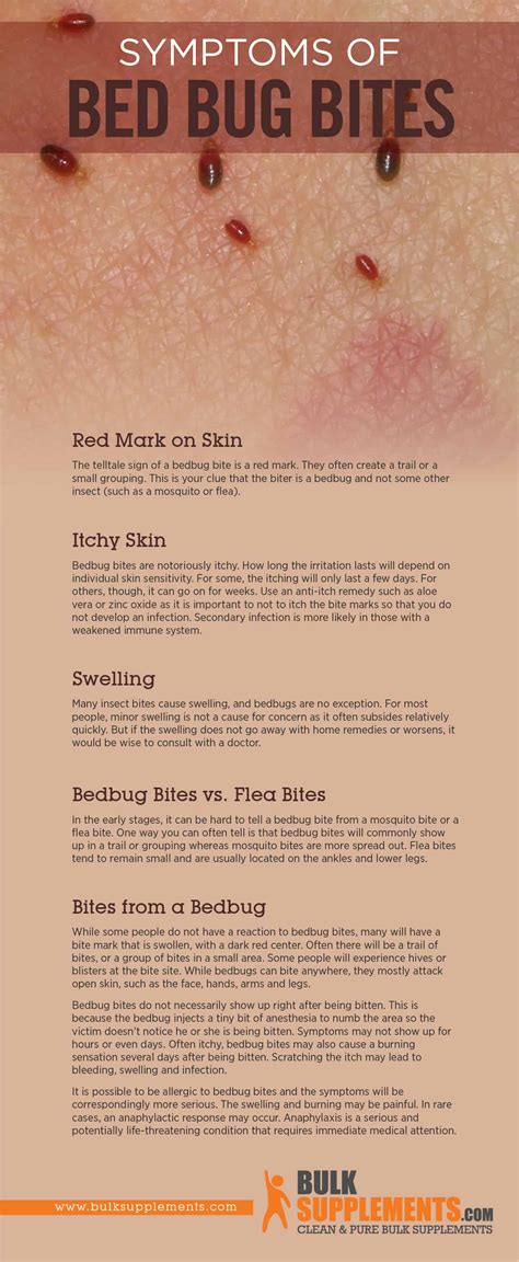 Tablo Read Bedbug Bite Characteristics Causes Treatment By