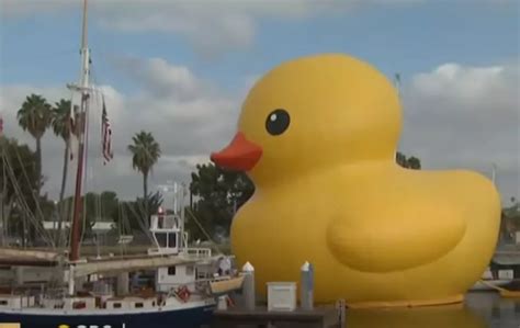 Why Was Worlds Largest Rubber Duck Trapped On Land In Alpena