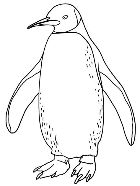 Desenhos De Pinguim Para Colorir Pop Lembrancinhas