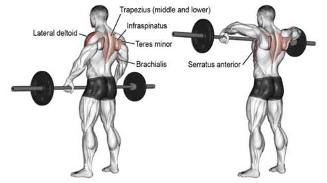 Best Shoulder Workout With Barbell To Build Mass And Strength